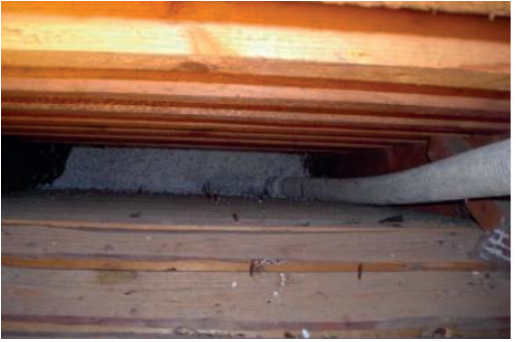 WD 50 R unter der Holzkonstruktion